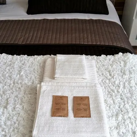 Pisa City Lodge Bed & Breakfast *