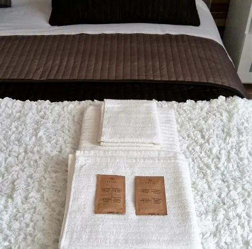 Pisa City Lodge ベッド・アンド・ブレックファスト 3*